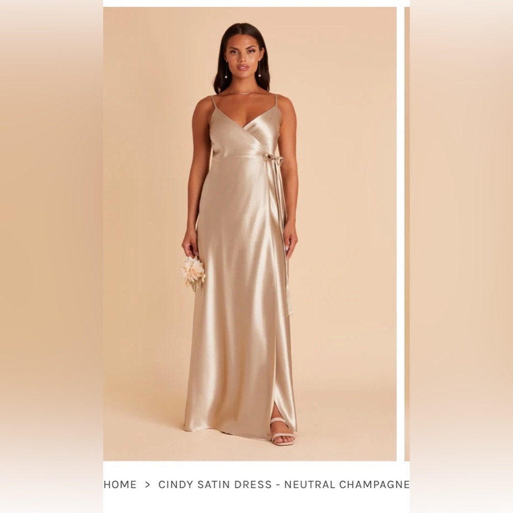 Birdy Grey Cindy Satin Dress